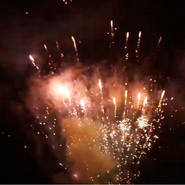 100s Chrys with Chrys Bouquet