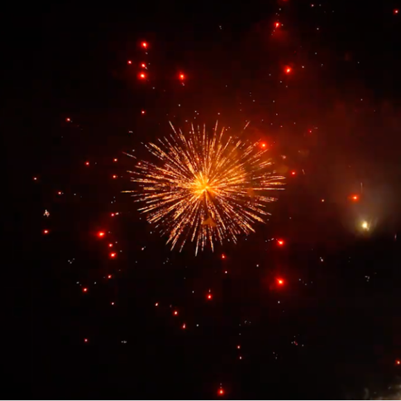 100s Dragon Eggs w/ Colour Dahlia